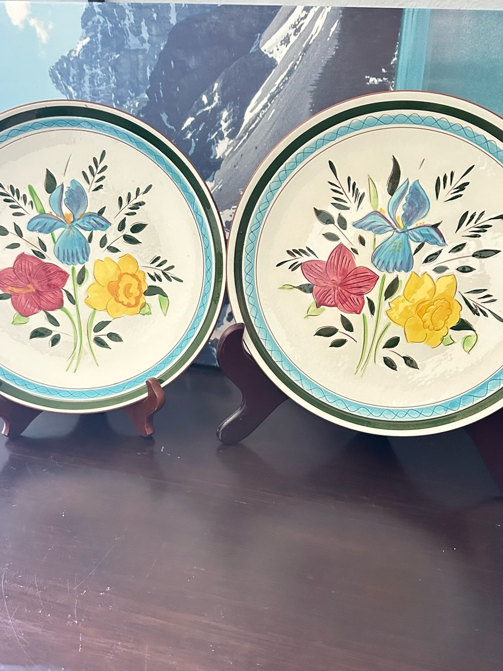 Hand-Painted Floral Decorative Plates - Set of 2